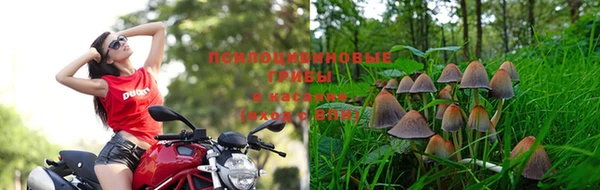 СК Баксан